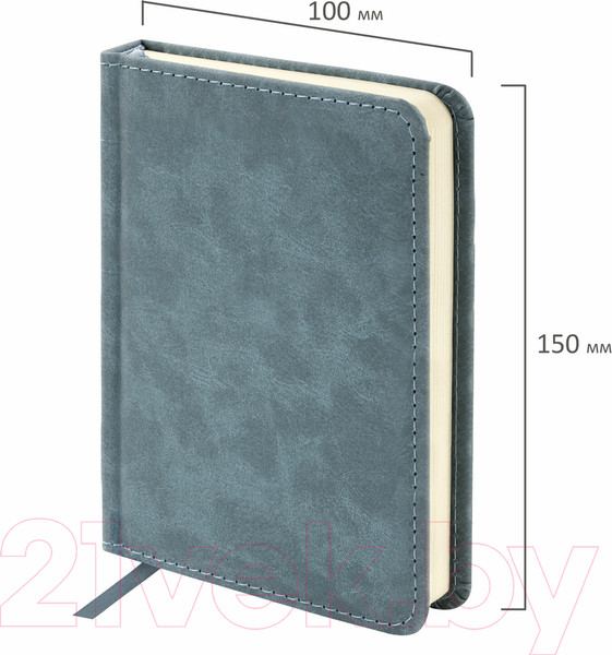 Изображение товара Ежедневник Brauberg Status / 113369 (серый/голубой)