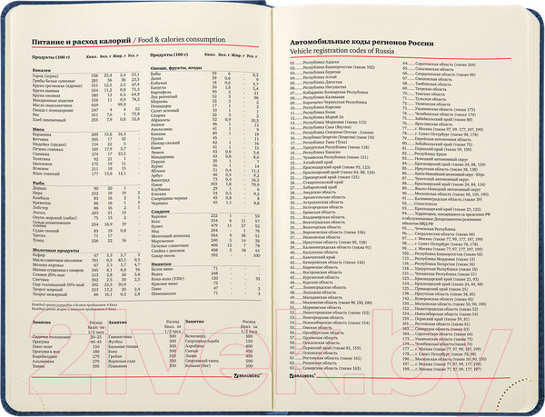 Изображение товара Ежедневник Brauberg Status / 113362 (темно-синий)