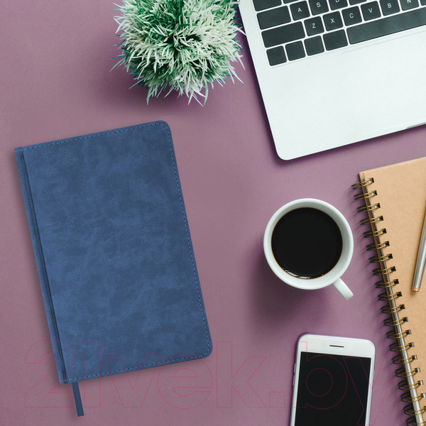 Изображение товара Ежедневник Brauberg Status / 113362 (темно-синий)