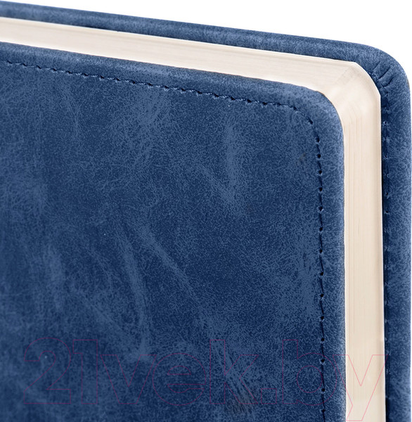 Изображение товара Ежедневник Brauberg Status / 113362 (темно-синий)