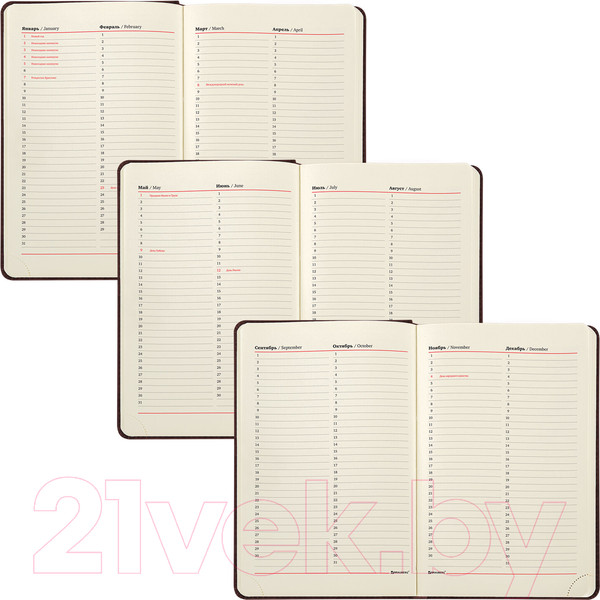 Изображение товара Ежедневник Brauberg Status / 113363 (коричневый)