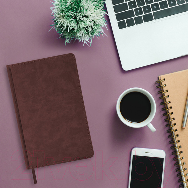 Изображение товара Ежедневник Brauberg Status / 113363 (коричневый)