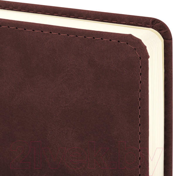 Изображение товара Ежедневник Brauberg Status / 113363 (коричневый)