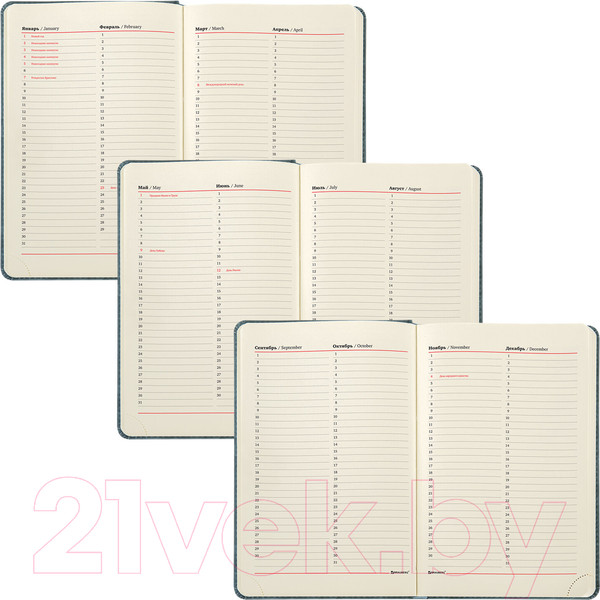 Изображение товара Ежедневник Brauberg Status / 113365 (серый/голубой)