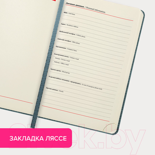 Изображение товара Ежедневник Brauberg Status / 113365 (серый/голубой)