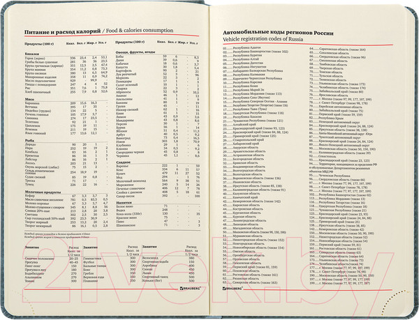 Изображение товара Ежедневник Brauberg Status / 113365 (серый/голубой)