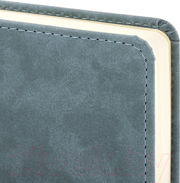 Изображение товара Ежедневник Brauberg Status / 113365 (серый/голубой)