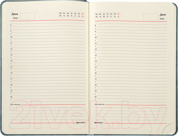 Изображение товара Ежедневник Brauberg Status / 113365 (серый/голубой)