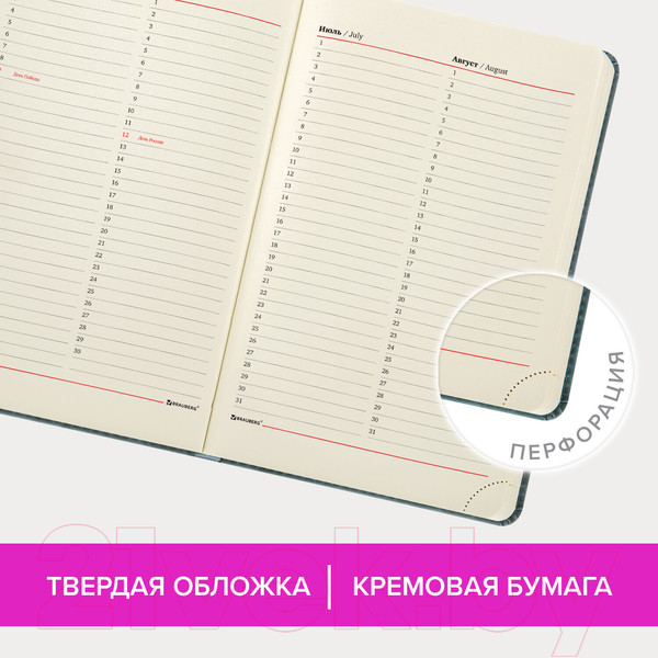 Изображение товара Ежедневник Brauberg Status / 113365 (серый/голубой)