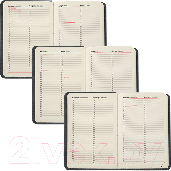 Изображение товара Ежедневник Brauberg Status / 113366 (черный)