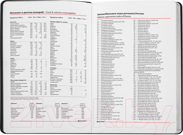 Изображение товара Ежедневник Brauberg Metallic / 113377 (серебряный)