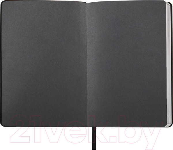 Изображение товара Ежедневник Brauberg Metallic / 113374 (черный)
