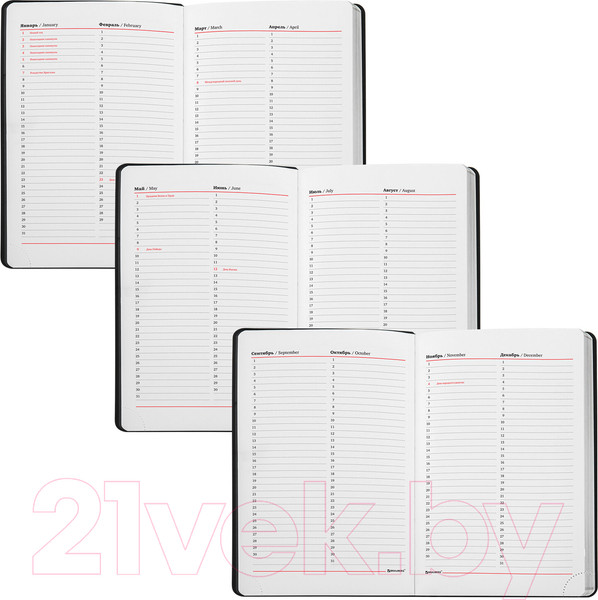 Изображение товара Ежедневник Brauberg Metallic / 113377 (серебряный)