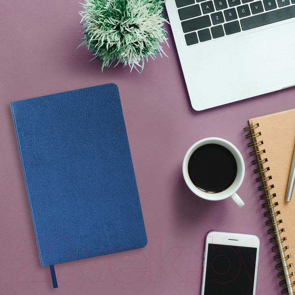 Изображение товара Ежедневник Brauberg Metallic / 113376 (синий)