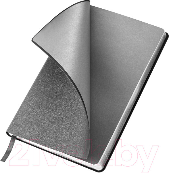 Изображение товара Ежедневник Brauberg Metallic / 113377 (серебряный)