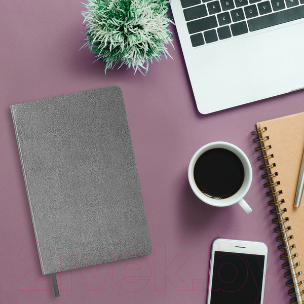 Изображение товара Ежедневник Brauberg Metallic / 113377 (серебряный)