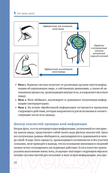 Изображение товара Книга Попурри Нейроатлетика для оптимизации силовых тренировок (Линхард Л.)