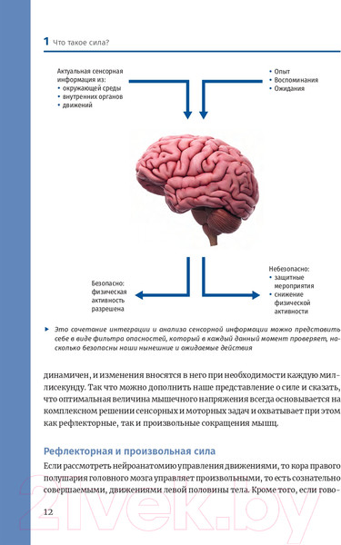 Изображение товара Книга Попурри Нейроатлетика для оптимизации силовых тренировок (Линхард Л.)