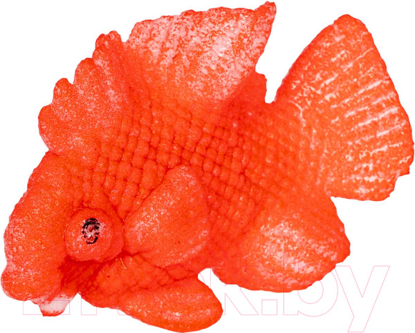 Изображение товара Набор для опытов Bondibon Растущие в воде животные. Вырасти рыбку / ВВ5371-4