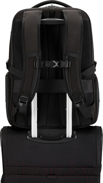 Изображение товара Рюкзак Samsonite Biz2Go KI1*09 006