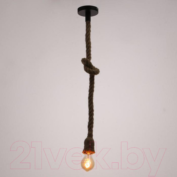 Изображение товара Потолочный светильник BayerLux 87313/1 / 5090561 (черный)