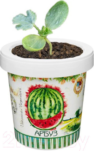 Изображение товара Набор для выращивания растений Rostokvisa Арбуз / 2035