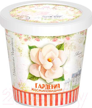 Изображение товара Набор для выращивания растений Rostokvisa Гардения жасминовидная / 2045