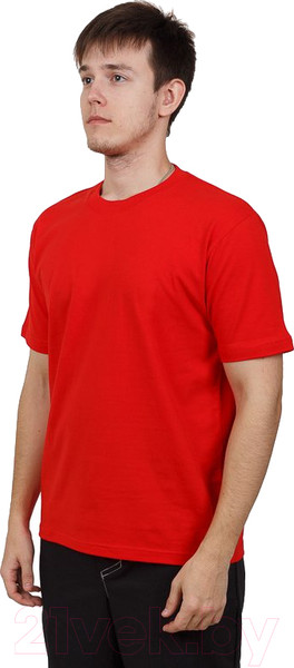 Изображение товара Футболка Premier Textile Х/б 160гр (XL, красный)
