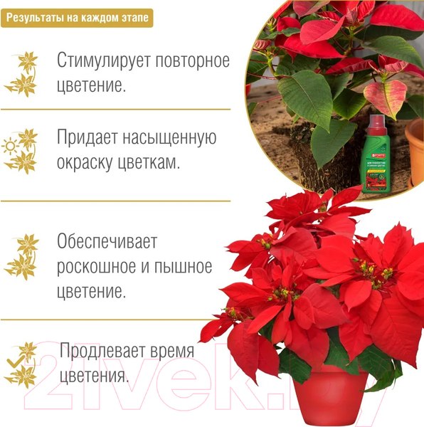 Изображение товара Удобрение Bona Forte Для пуансеттий и цветущих зимой цветов BF21010341 (285мл)