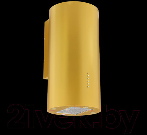 Изображение товара Вытяжка коробчатая Akpo Balmera Eco WK-4 (золото)