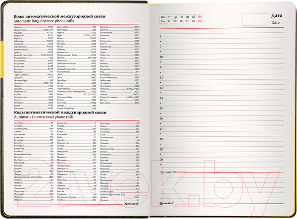 Изображение товара Ежедневник Brauberg Aim / 113421 (черный)