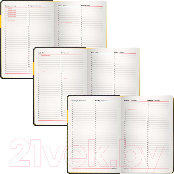 Изображение товара Ежедневник Brauberg Aim / 113421 (черный)