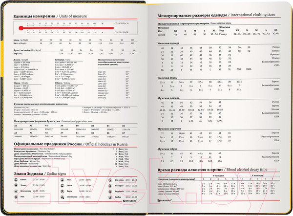 Изображение товара Ежедневник Brauberg Aim / 113421 (черный)