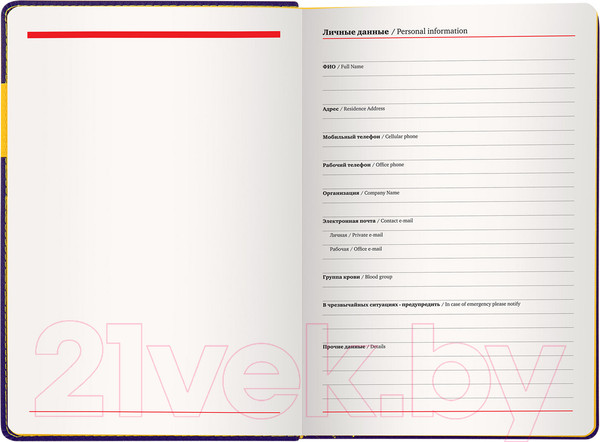 Изображение товара Ежедневник Brauberg Aim / 113424 (фиолетовый)