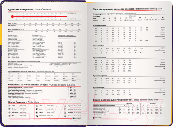 Изображение товара Ежедневник Brauberg Aim / 113424 (фиолетовый)
