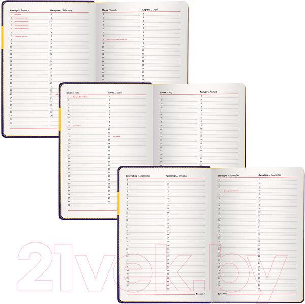 Изображение товара Ежедневник Brauberg Aim / 113424 (фиолетовый)