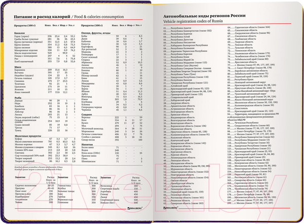 Изображение товара Ежедневник Brauberg Aim / 113424 (фиолетовый)
