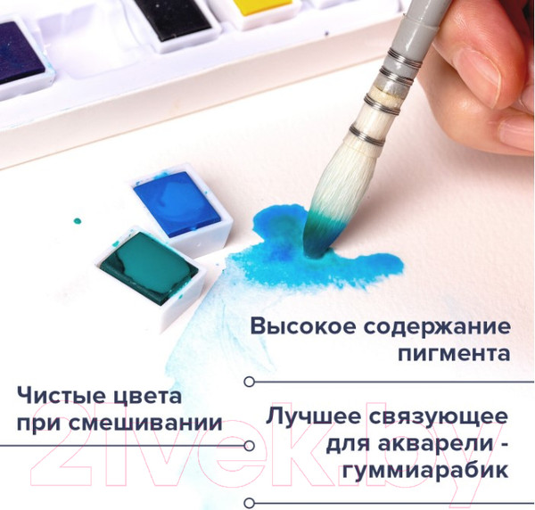 Изображение товара Акварельные краски Brauberg Art Debut / 191777 (18цв)