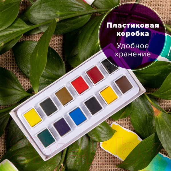 Изображение товара Акварельные краски Brauberg Art Debut / 191776 (12цв)