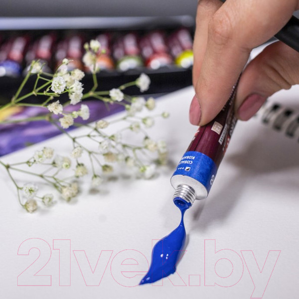 Изображение товара Акварельные краски Brauberg Art Premiere / 191767 (24цв)