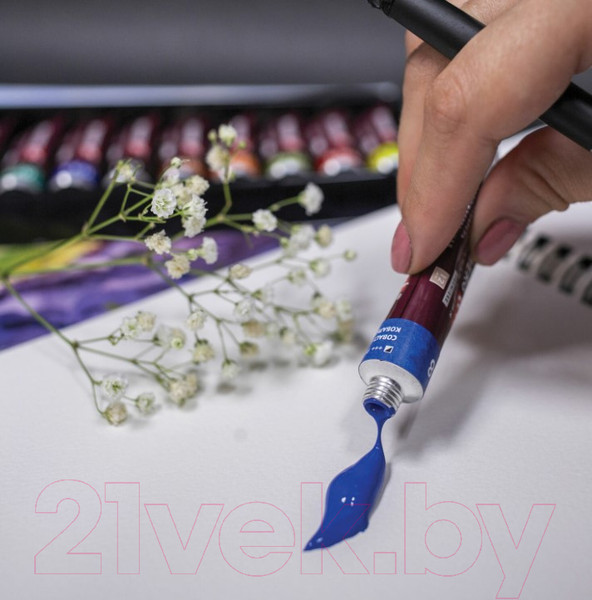 Изображение товара Акварельные краски Brauberg Art Premiere / 191767 (24цв)