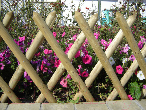 Изображение товара Изгородь декоративная Массив-Древ Эгерцаун D60x800x2500