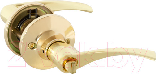 Изображение товара Ручка дверная Vettore A8023 BK GP (золото)