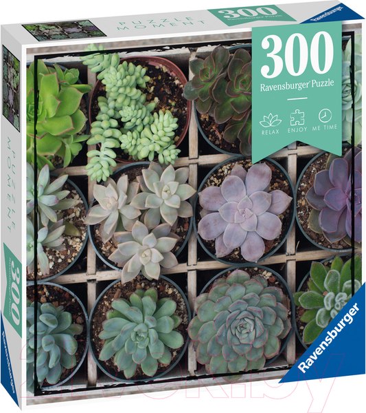 Изображение товара Пазл Ravensburger Суккуленты / 12967 (300эл)