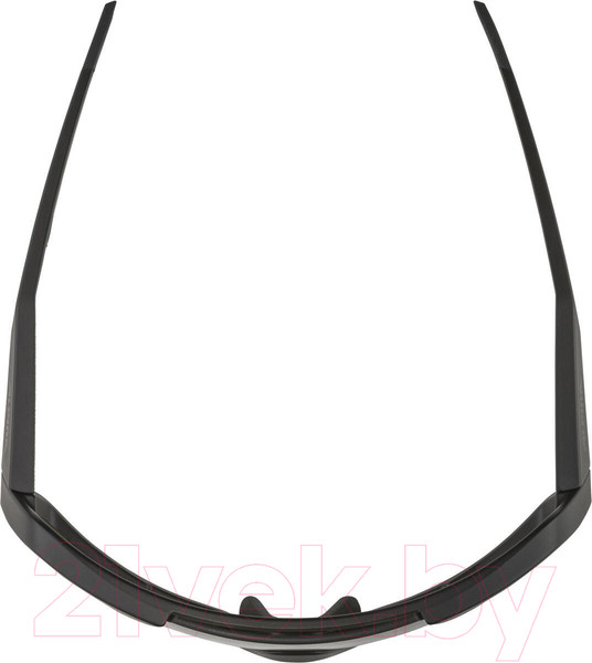 Изображение товара Очки солнцезащитные Alpina Sports 2022 Rocket Q-Lite / A8679031 (черный матовый/серебристый)