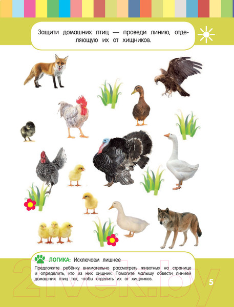 Изображение товара Развивающая книга Эксмо Смышленый малыш: для детей 5-6 лет (Обозная О.Б.)