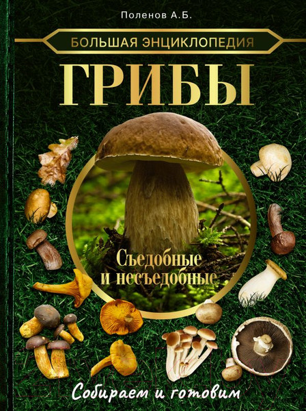 Изображение товара Энциклопедия АСТ Грибы. Съедобные и несъедобные. Собираем и готовим (Поленов А.Б.)