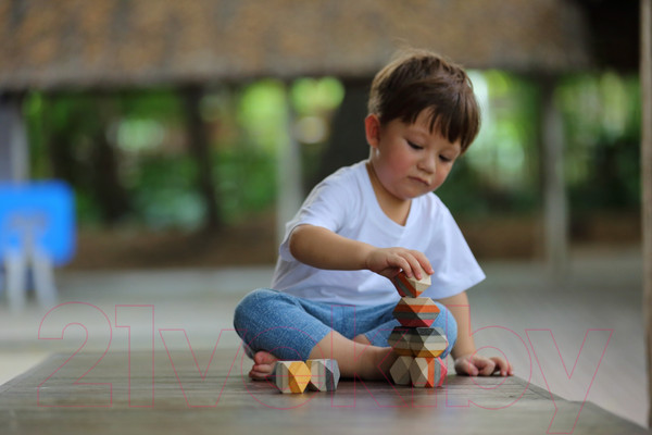 Изображение товара Развивающая игра Plan Toys Фантазия / 5511