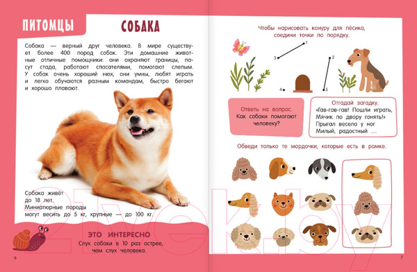 Изображение товара Энциклопедия АСТ Главная книга о животных (Дмитриева В.)