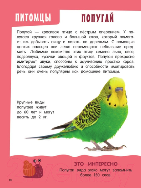 Изображение товара Энциклопедия АСТ Главная книга о животных (Дмитриева В.)